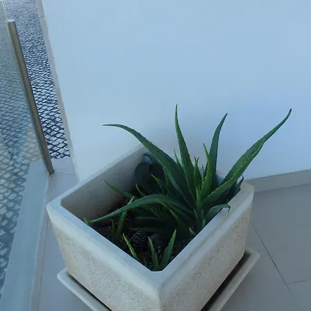 Na Casa Da Andreia * São Martinho do Porto