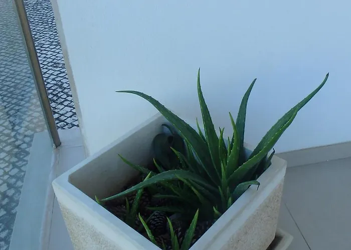 Na Casa Da Andreia * 상 마르티뇨 두 포르투